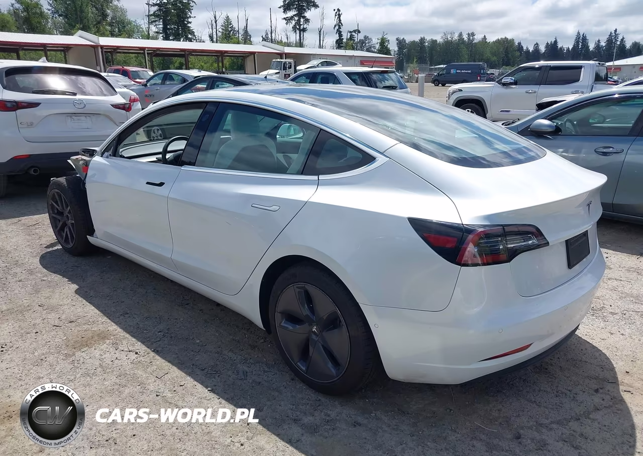 2020 Tesla Model 3 Standard Range Plus Rear-Wheel Drive-Standard Range Rear-Wheel Drive VIN:5YJ3E1EA3LF741125 - 3