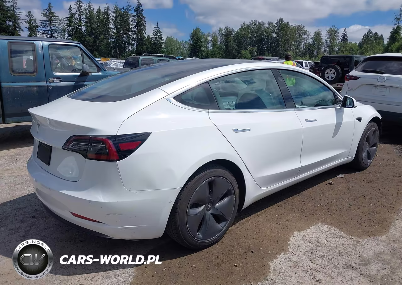 2020 Tesla Model 3 Standard Range Plus Rear-Wheel Drive-Standard Range Rear-Wheel Drive VIN:5YJ3E1EA3LF741125 - 4