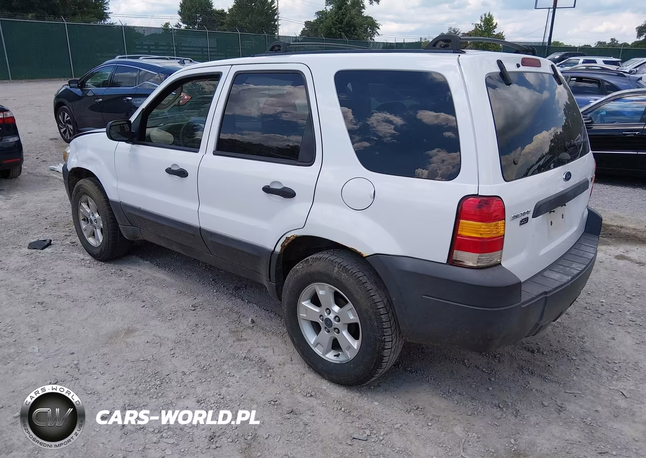 2006 Ford Escape Xlt-Xlt Sport VIN:1FMCU03166KB09237 - 3