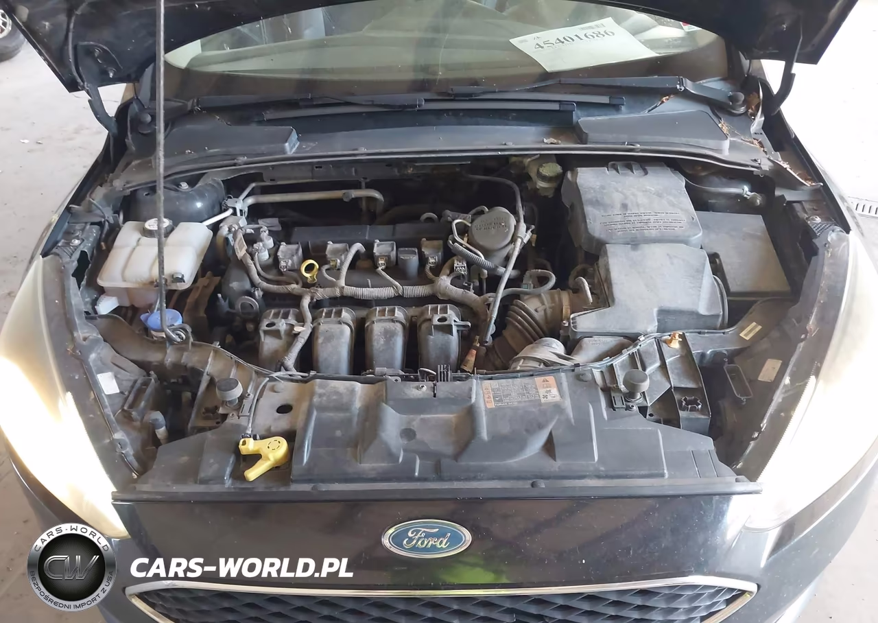 2015 Ford Focus Se VIN:1FADP3K20FL238036 - 10