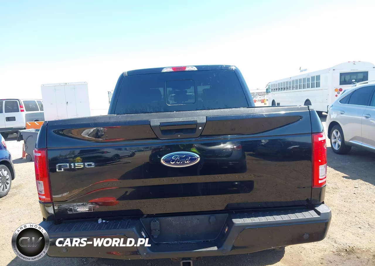 2017 Ford F-150 King Ranch-Lariat-Limited-Platinum-Xl-Xlt VIN:1FTEW1EG9HKC73079 - 16