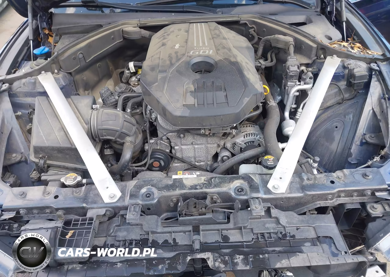 2019 Genesis G70 2.0T Advanced VIN:KMTG64LA6KU020811 - 10