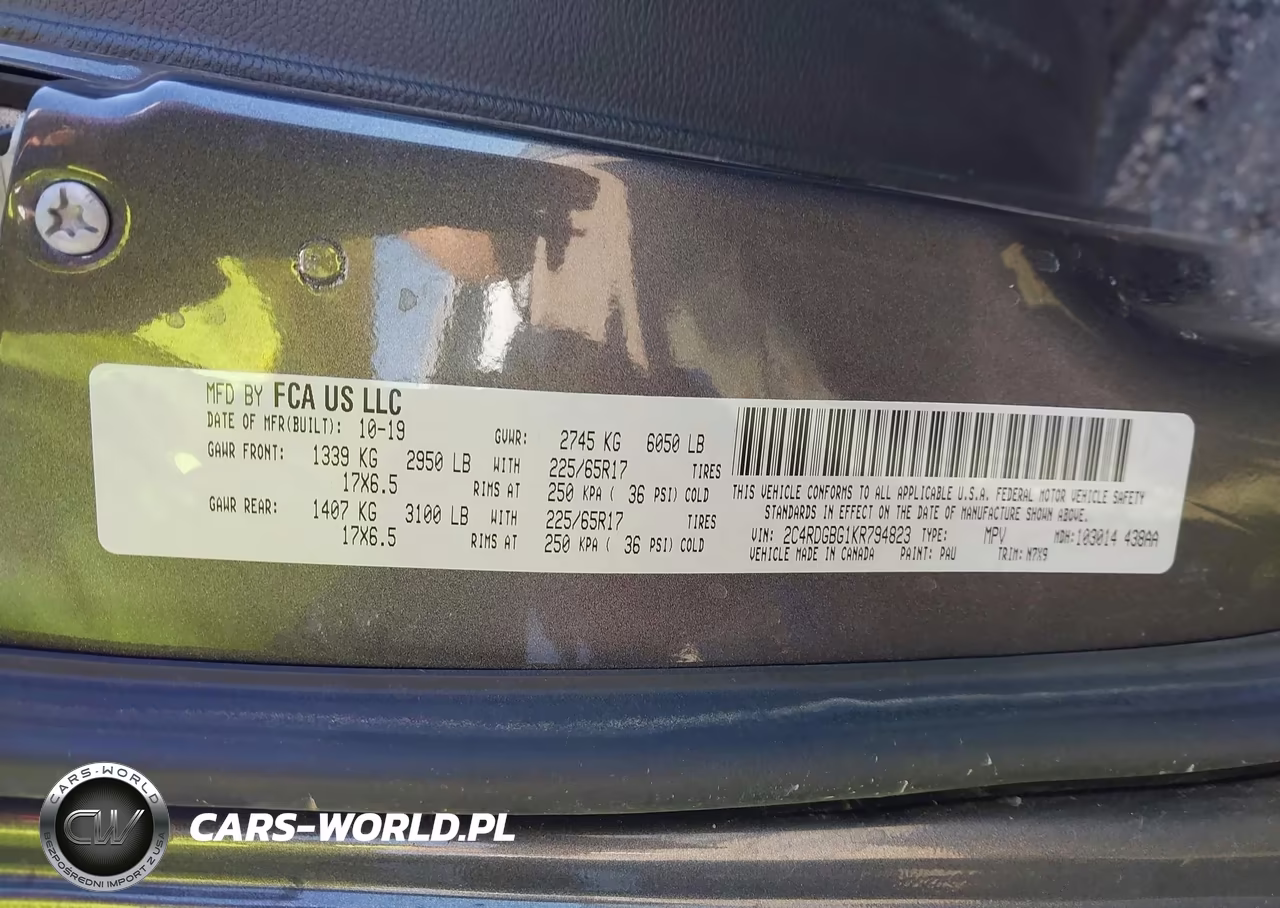2019 Dodge Grand Caravan Se 35Th Anniversary Edition VIN:2C4RDGBG1KR794823 - 9