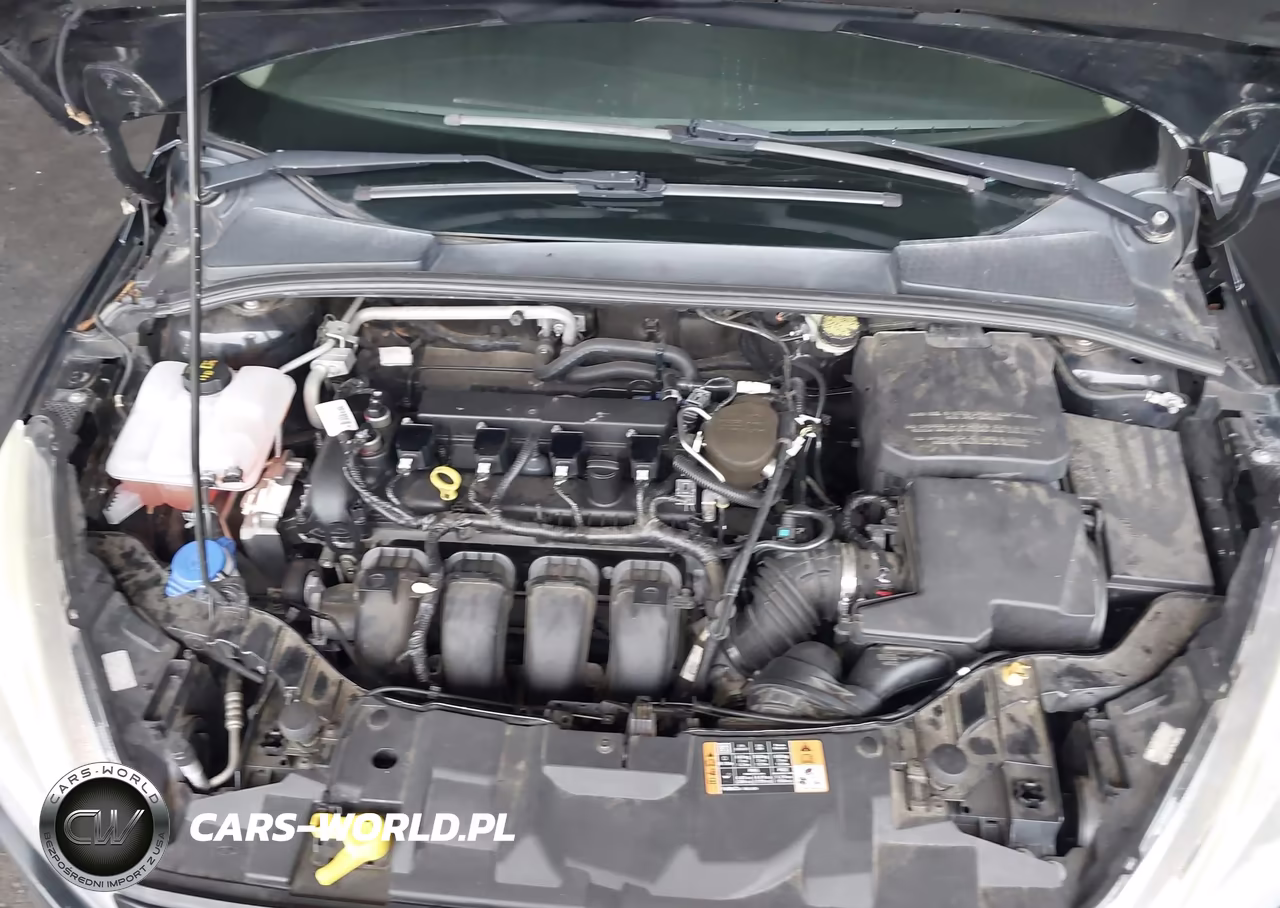 2016 Ford Focus Se VIN:1FADP3F28GL205166 - 10
