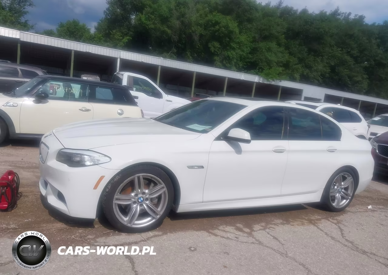 2013 BMW 550I VIN:WBAFR9C52DDX81014 - 14
