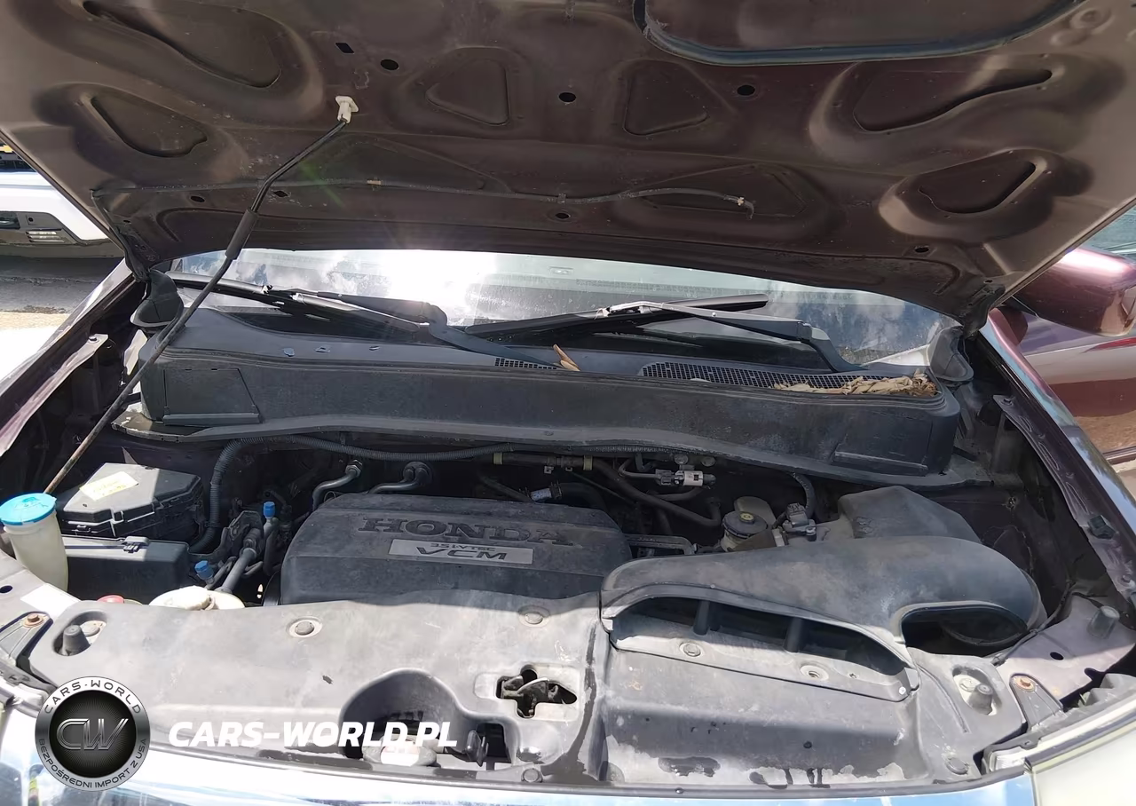 2010 Honda Pilot Ex-L VIN:5FNYF4H69AB036225 - 10