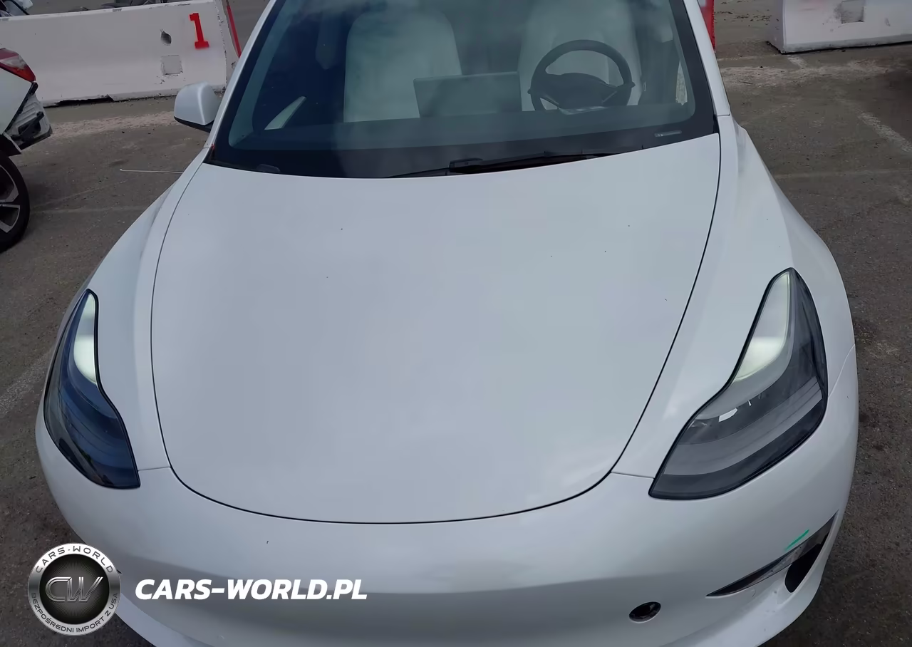 2022 Tesla Model 3 Rear-Wheel Drive VIN:5YJ3E1EA2NF357954 - 10