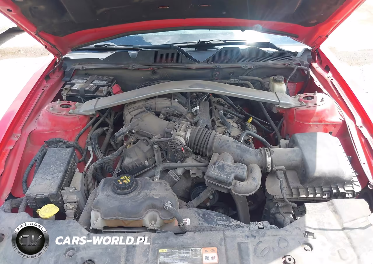 2014 Ford Mustang V6-V6 Premium VIN:1ZVBP8EMXE5279253 - 10