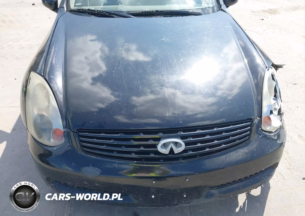 2004 Infiniti G35 VIN:JNKCV54E04M300099 - 20