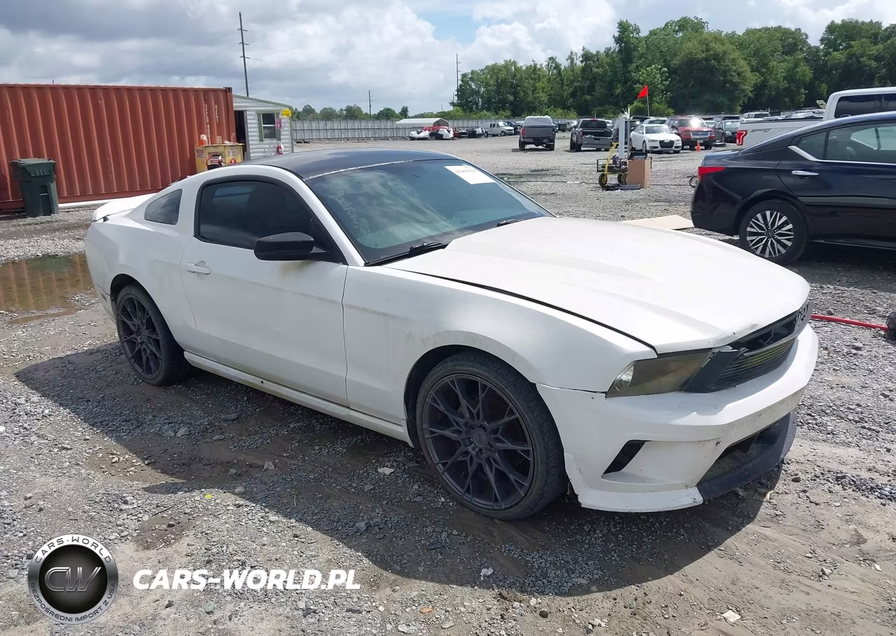 2010 Ford Mustang V6-V6 Premium