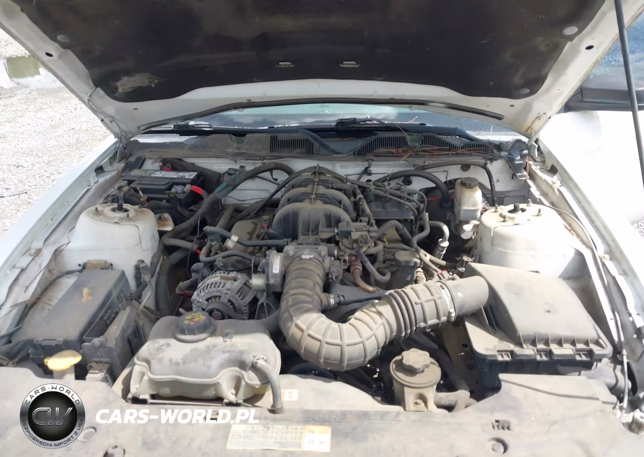 2010 Ford Mustang V6-V6 Premium VIN:1ZVBP8AN3A5180489 - 10