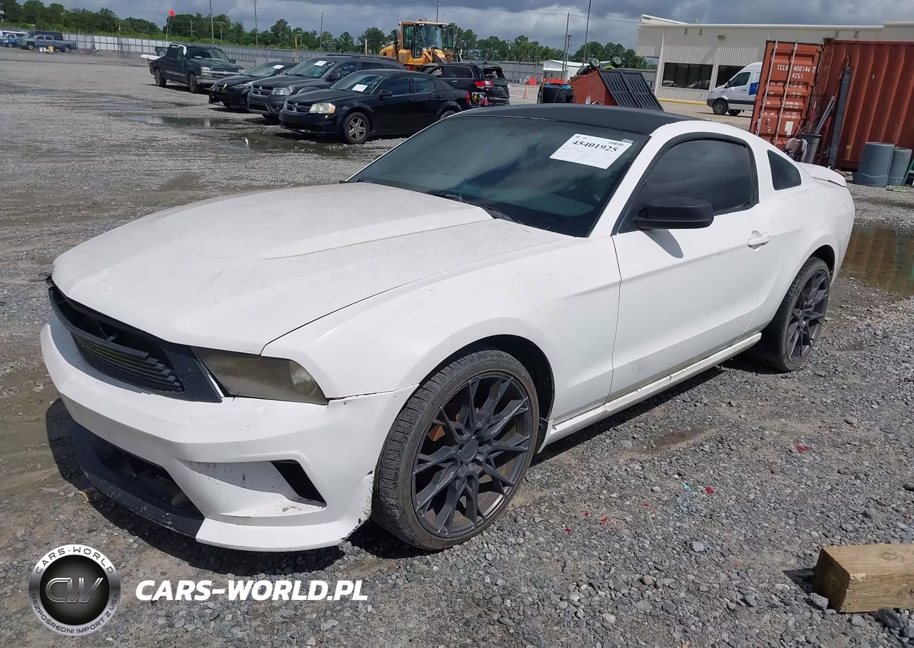2010 Ford Mustang V6-V6 Premium VIN:1ZVBP8AN3A5180489 - 2