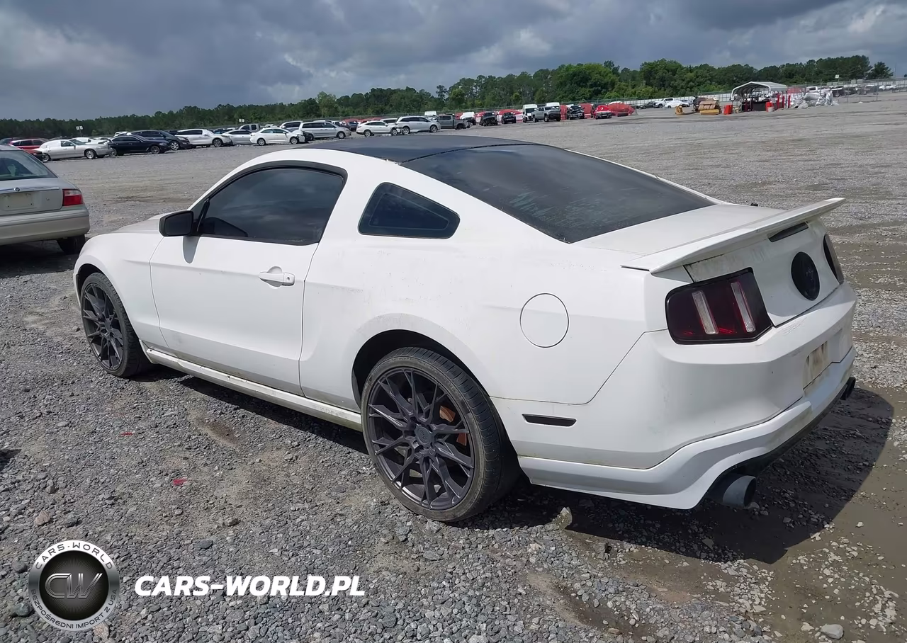 2010 Ford Mustang V6-V6 Premium VIN:1ZVBP8AN3A5180489 - 3