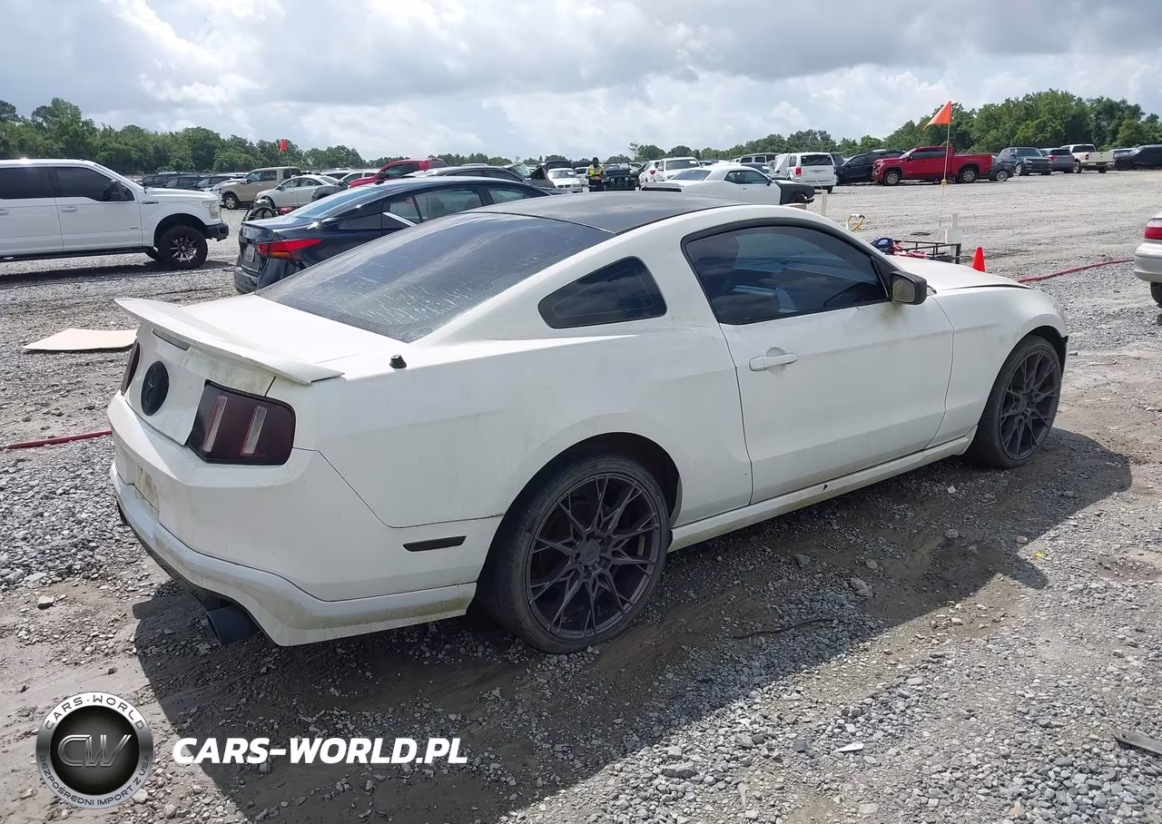 2010 Ford Mustang V6-V6 Premium VIN:1ZVBP8AN3A5180489 - 4
