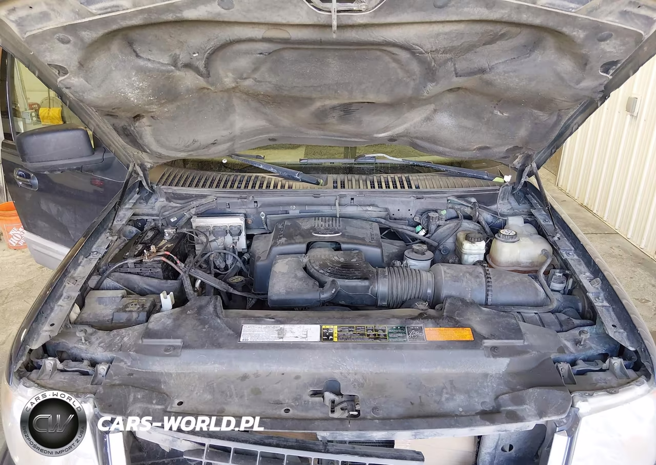 2003 Ford Expedition Xlt VIN:1FMPU16L93LB88526 - 10