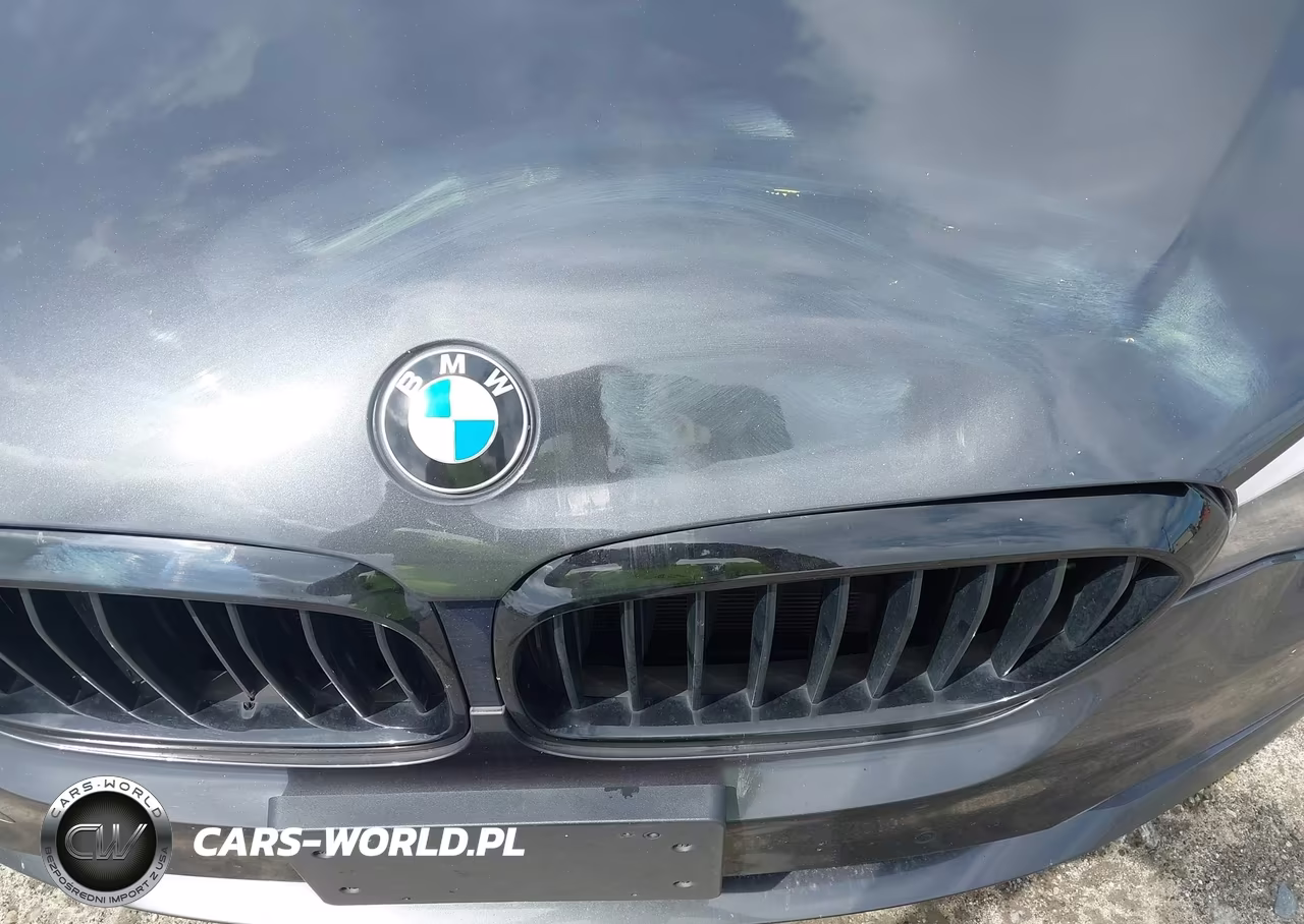 2020 BMW 530E Iperformance VIN:WBAJA9C06LCD47692 - 19