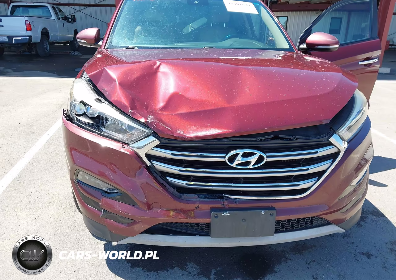 2017 Hyundai Tucson Limited VIN:KM8J33A27HU374778 - 6