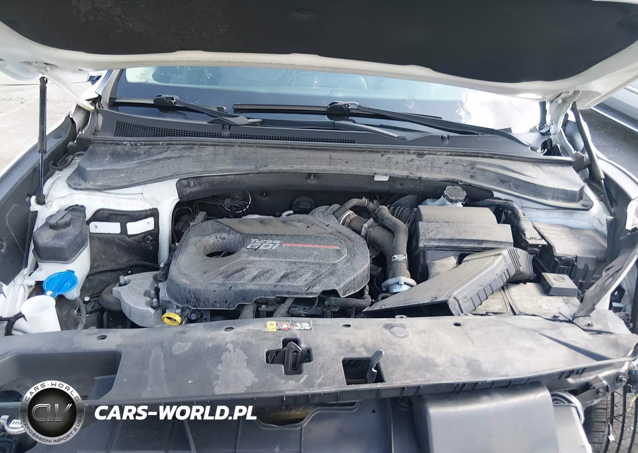 2020 Hyundai Santa Fe Sel 2.0T VIN:5NMS3CAA3LH223940 - 10
