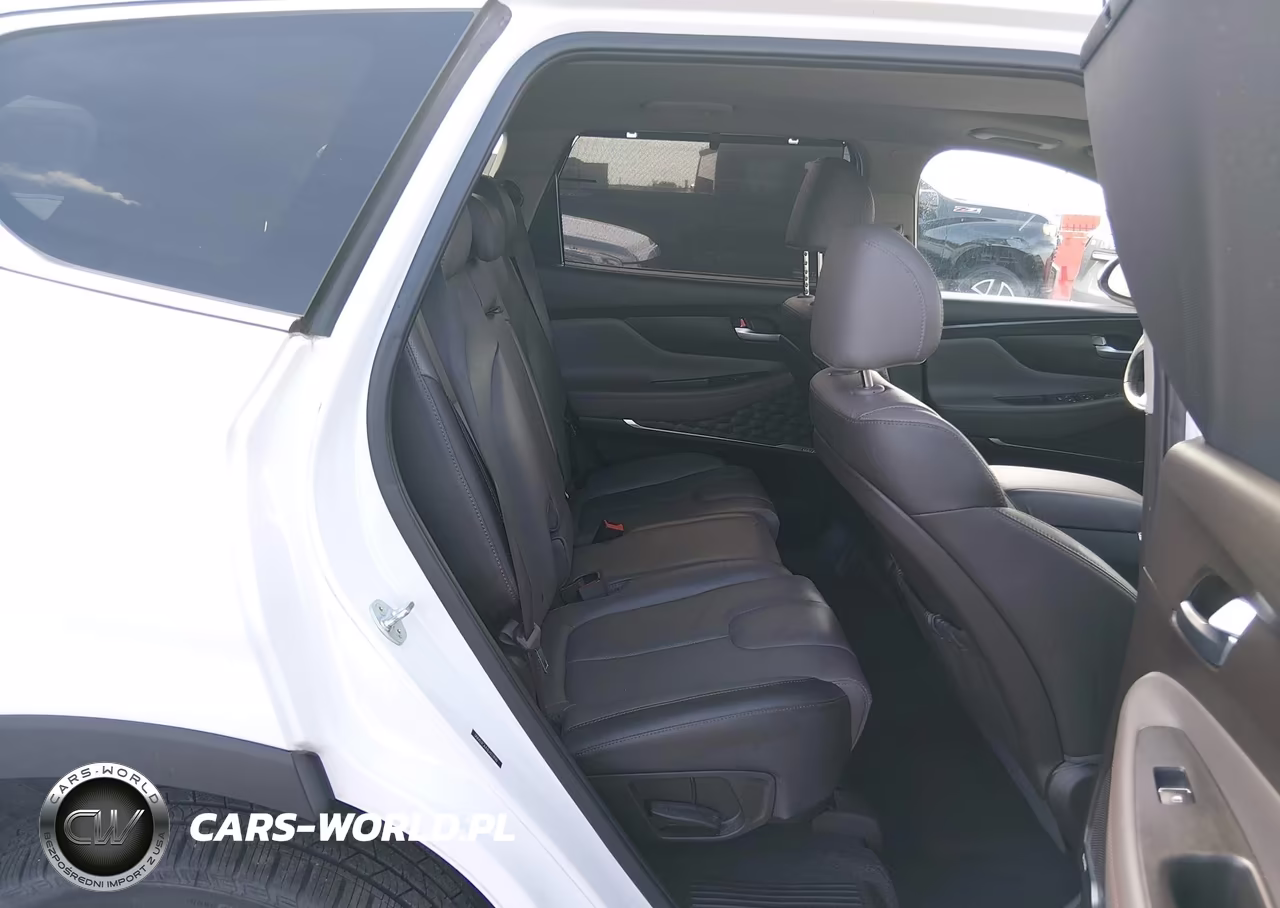 2020 Hyundai Santa Fe Sel 2.0T VIN:5NMS3CAA3LH223940 - 8