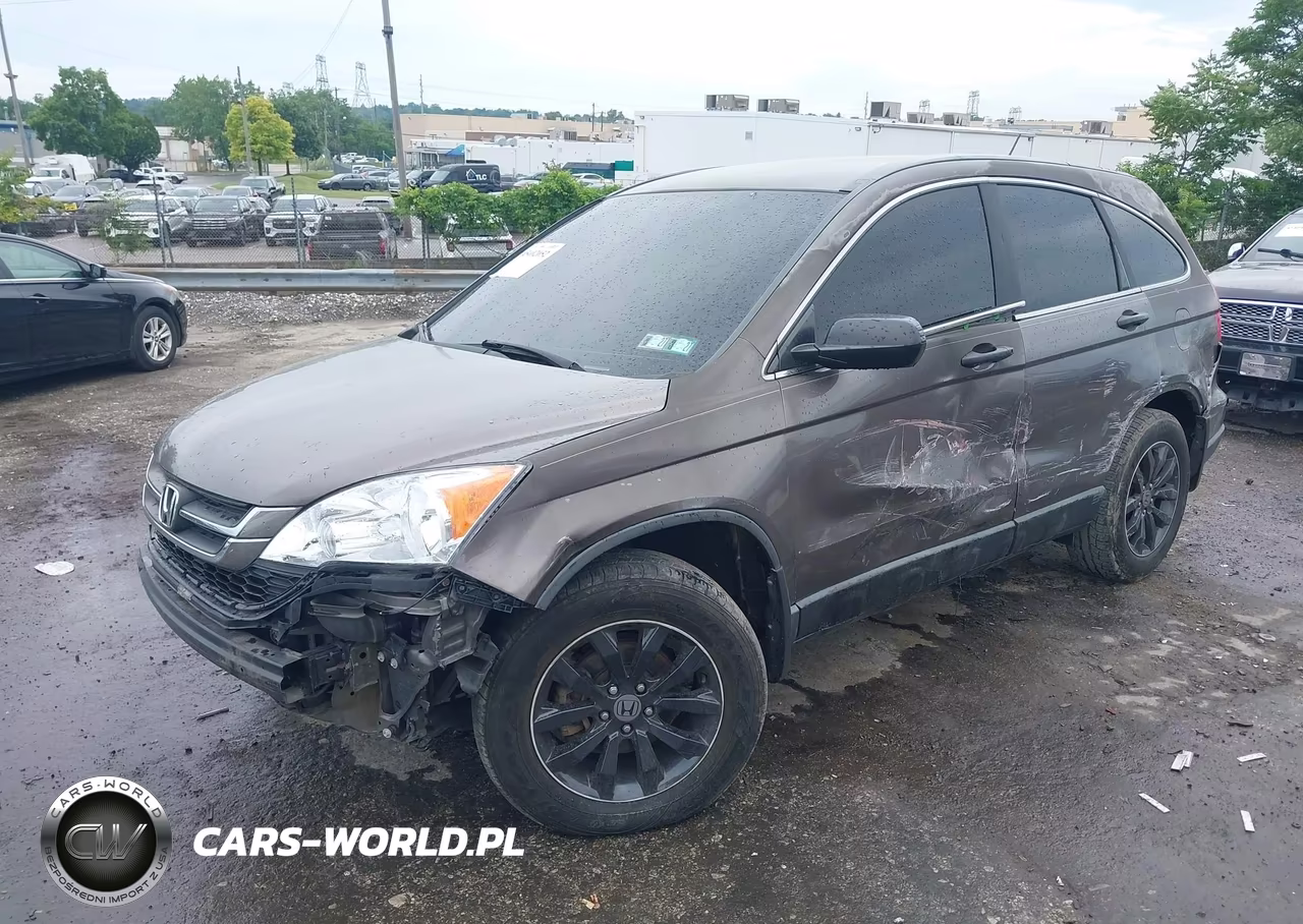 2010 Honda Cr-V Lx VIN:5J6RE4H38AL067079 - 2