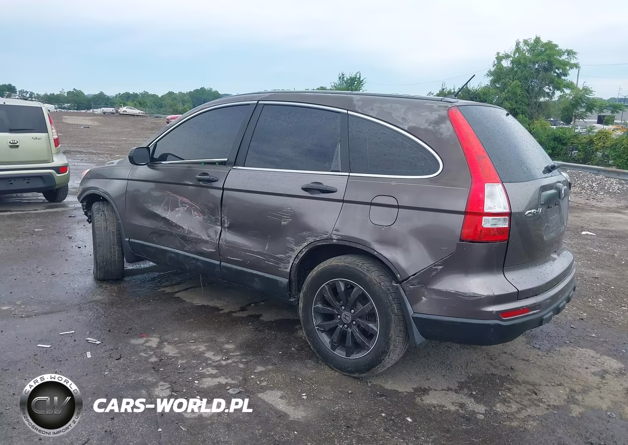 2010 Honda Cr-V Lx VIN:5J6RE4H38AL067079 - 3