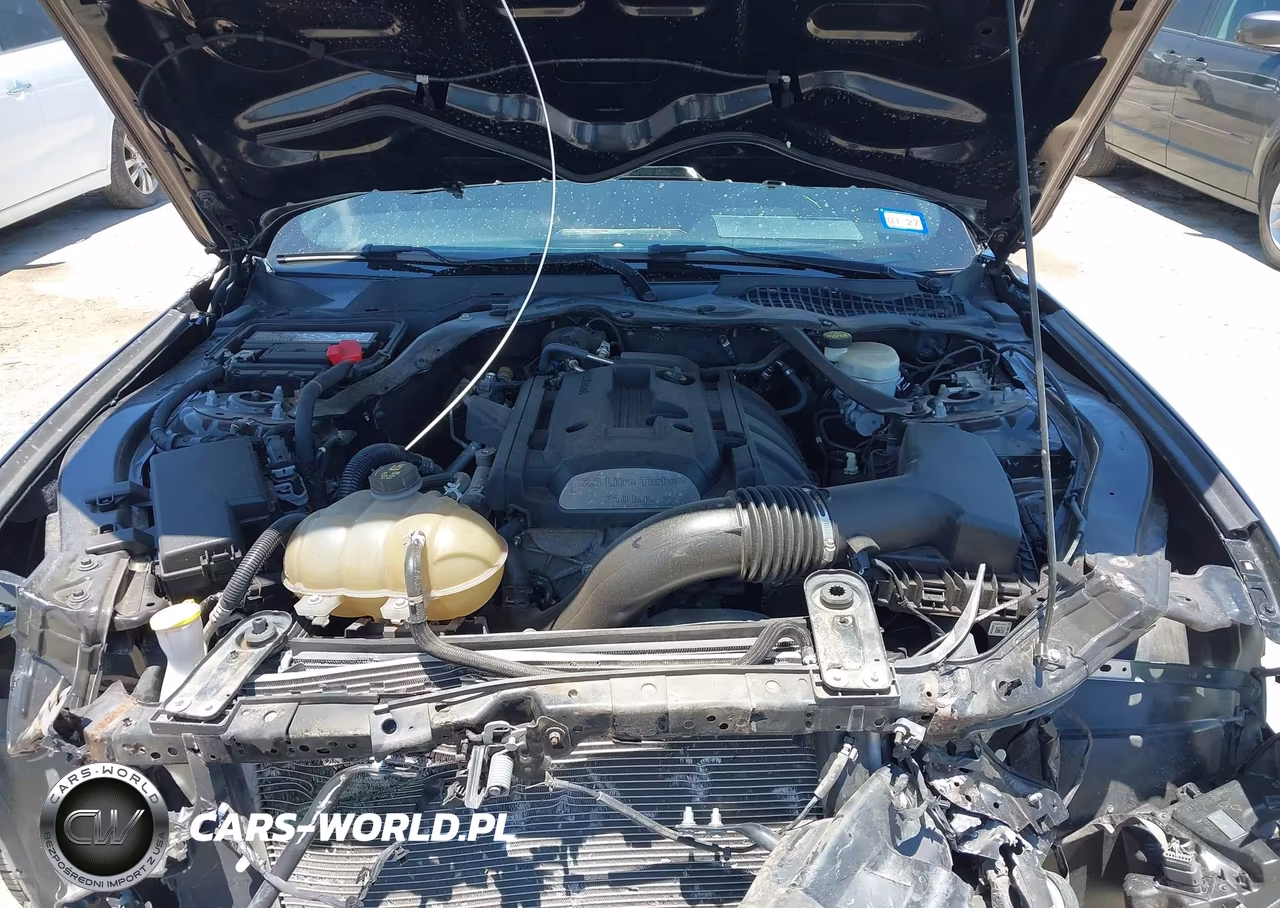 2019 Ford Mustang Ecoboost-Ecoboost Premium VIN:1FATP8UH9K5135724 - 10