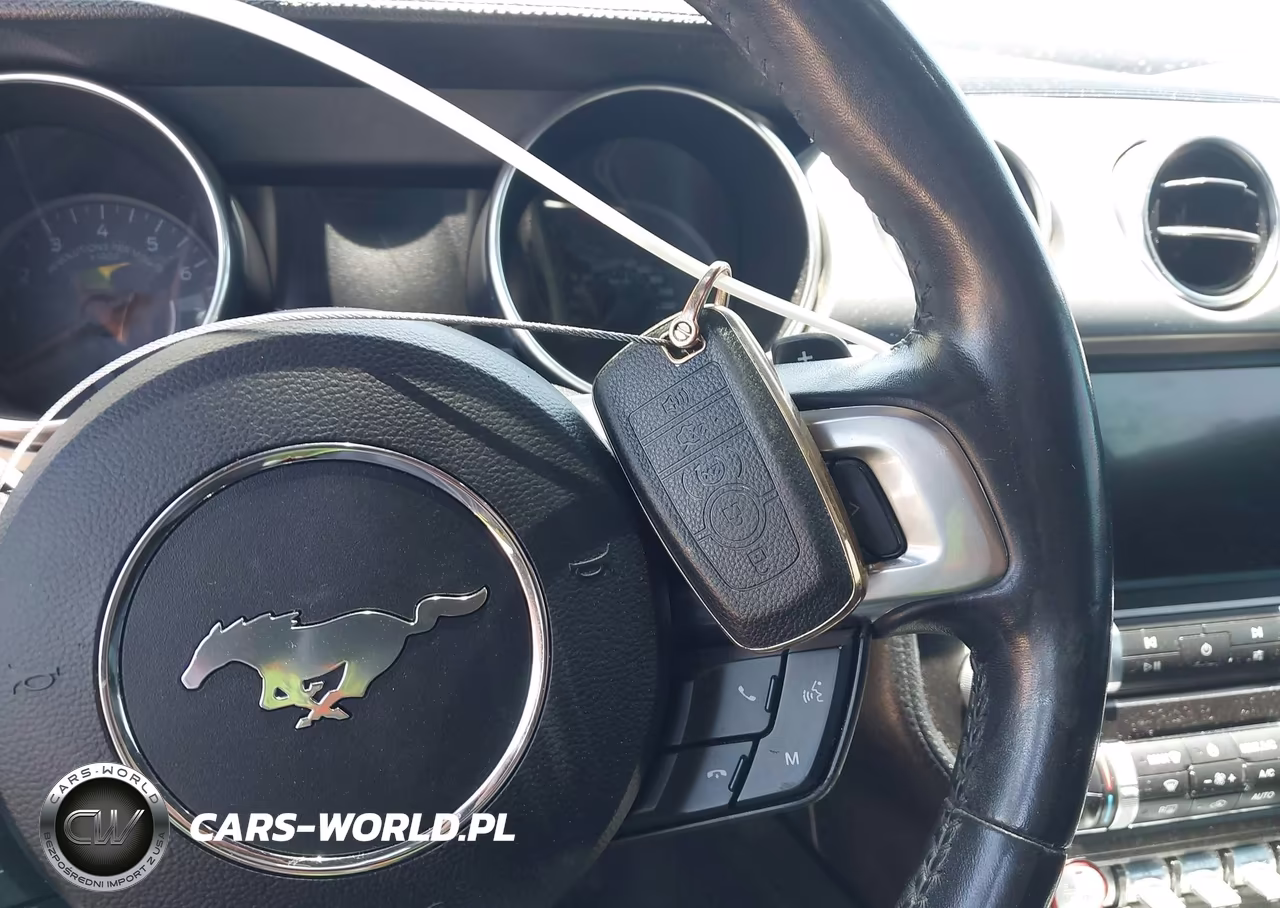 2019 Ford Mustang Ecoboost-Ecoboost Premium VIN:1FATP8UH9K5135724 - 11