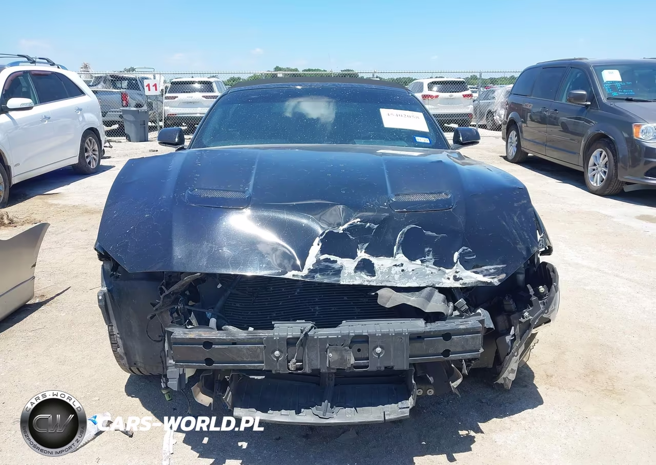 2019 Ford Mustang Ecoboost-Ecoboost Premium VIN:1FATP8UH9K5135724 - 12