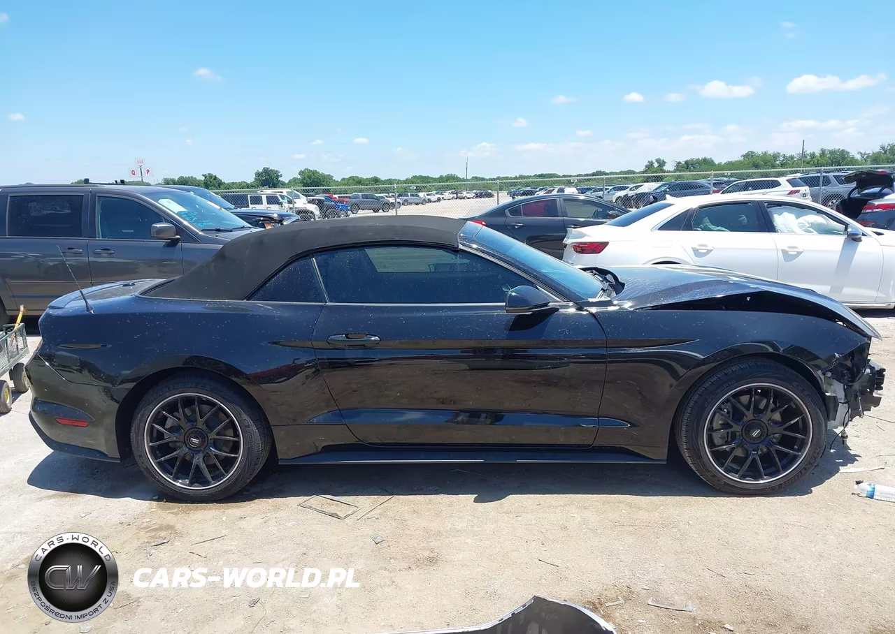 2019 Ford Mustang Ecoboost-Ecoboost Premium VIN:1FATP8UH9K5135724 - 13