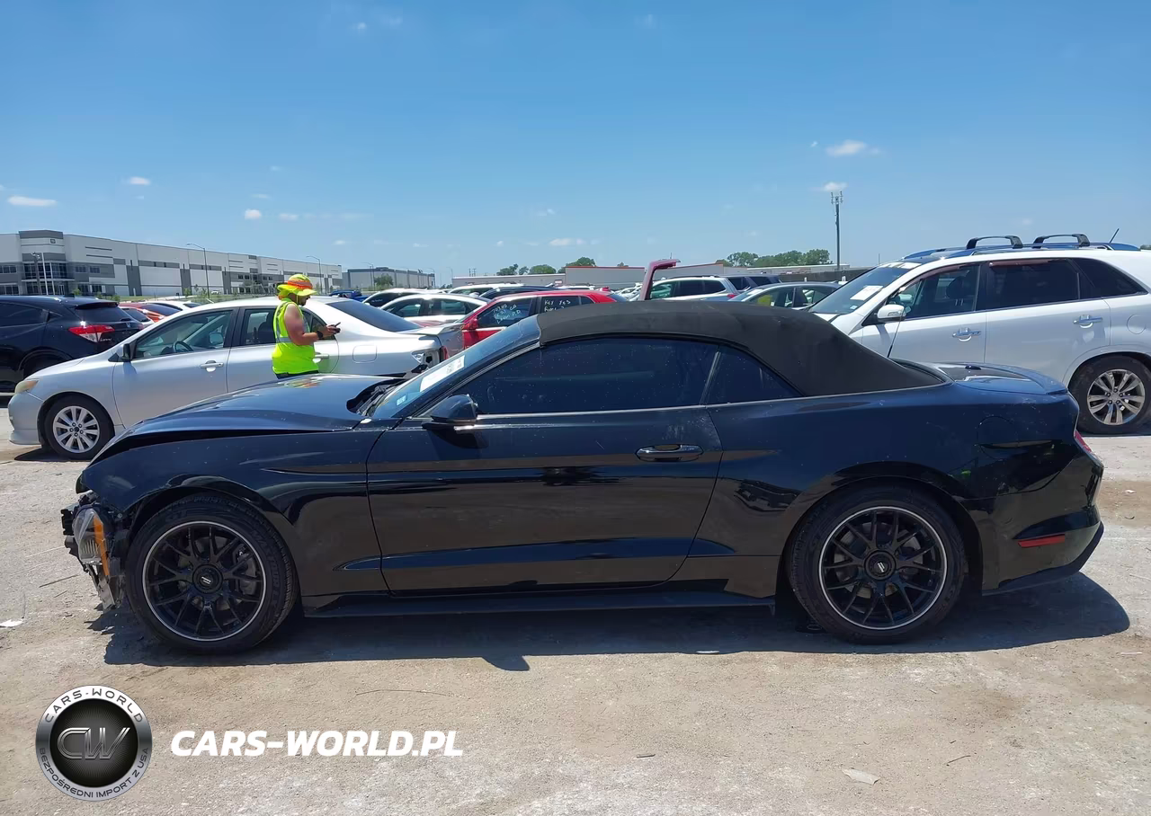 2019 Ford Mustang Ecoboost-Ecoboost Premium VIN:1FATP8UH9K5135724 - 14
