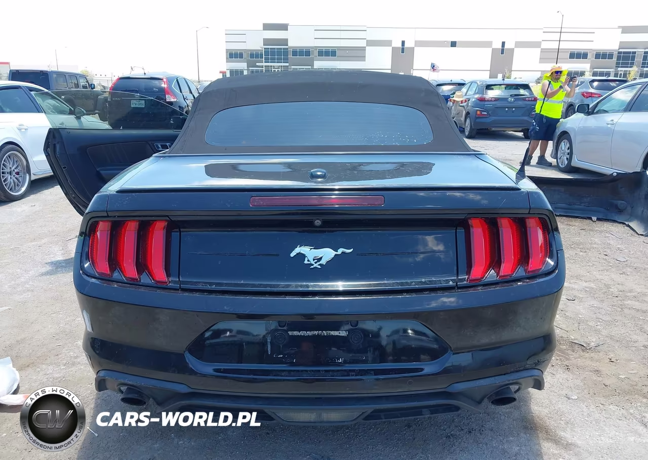 2019 Ford Mustang Ecoboost-Ecoboost Premium VIN:1FATP8UH9K5135724 - 16