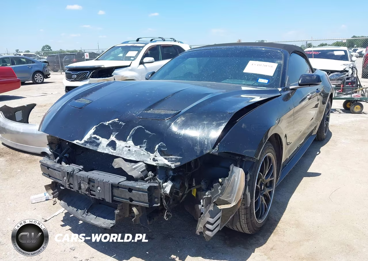 2019 Ford Mustang Ecoboost-Ecoboost Premium VIN:1FATP8UH9K5135724 - 2