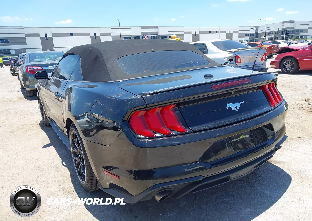 2019 Ford Mustang Ecoboost-Ecoboost Premium VIN:1FATP8UH9K5135724 - 3