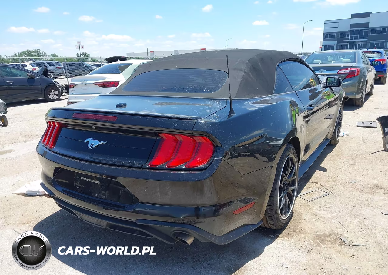 2019 Ford Mustang Ecoboost-Ecoboost Premium VIN:1FATP8UH9K5135724 - 4