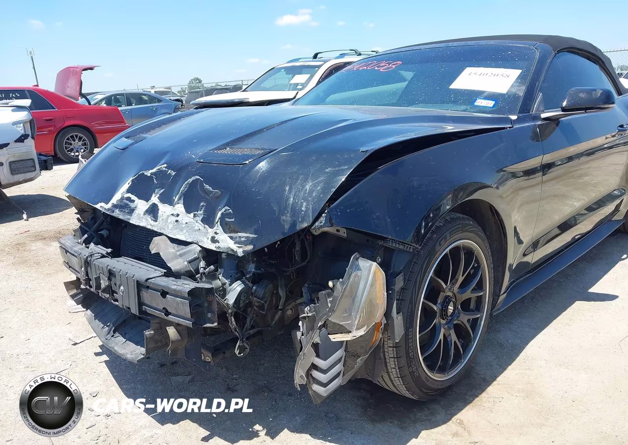 2019 Ford Mustang Ecoboost-Ecoboost Premium VIN:1FATP8UH9K5135724 - 6