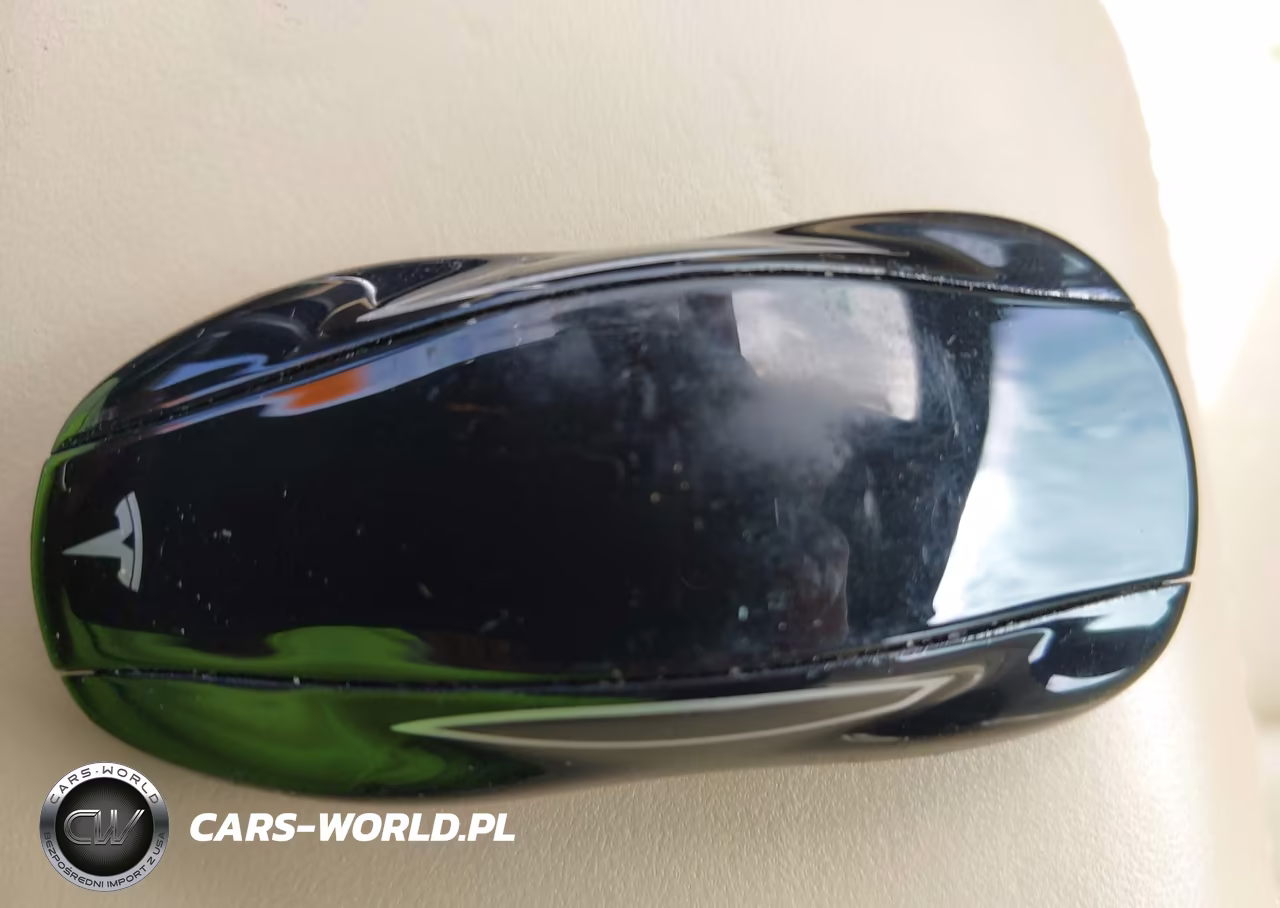 2015 Tesla Model S 70D-85D-P85D VIN:5YJSA1H24FF093827 - 11