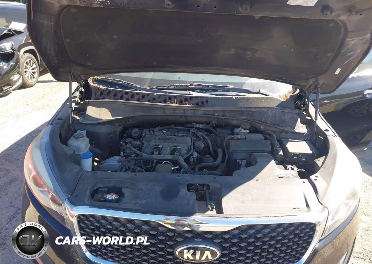2016 Kia Sorento 3.3L Lx VIN:5XYPGDA54GG090009 - 10