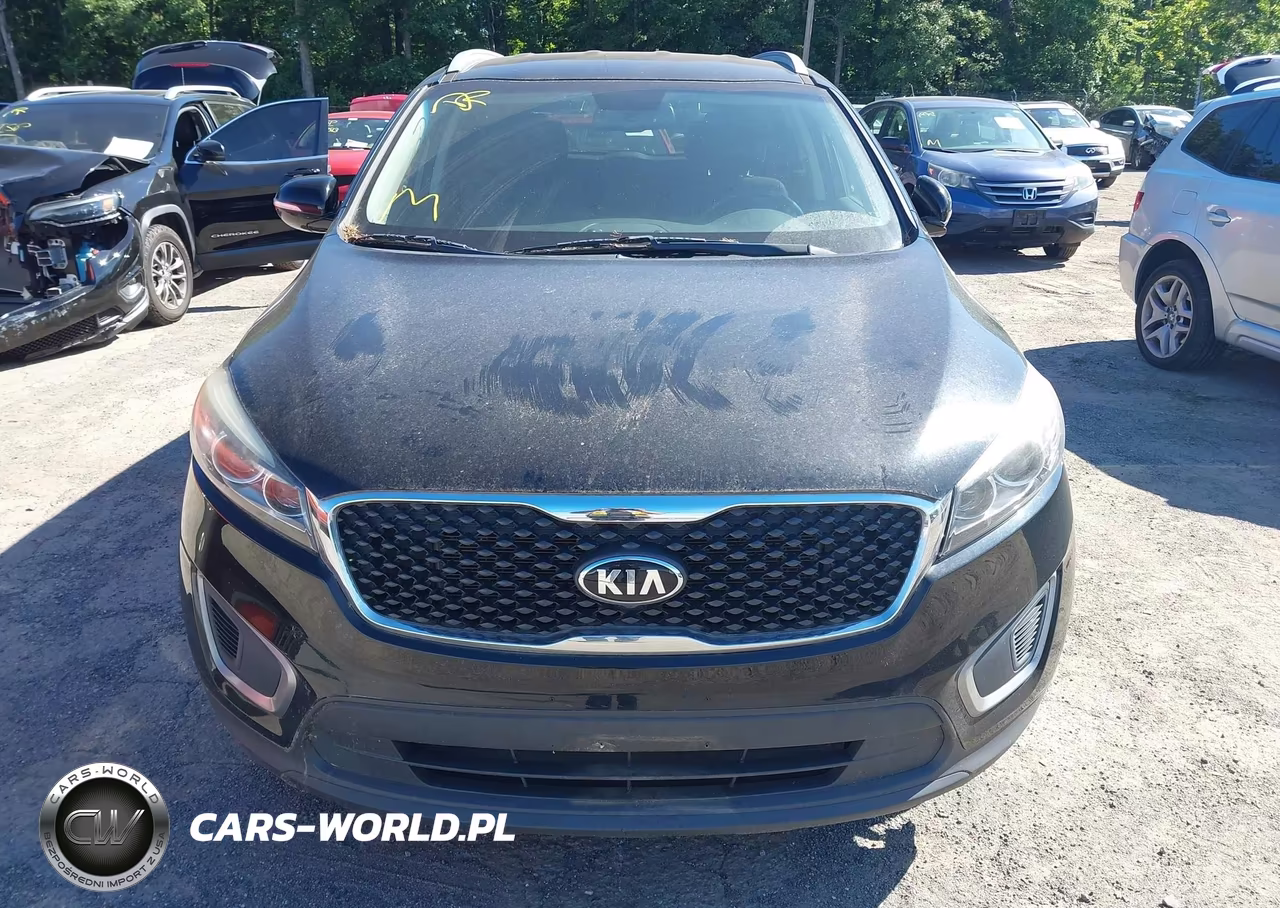 2016 Kia Sorento 3.3L Lx VIN:5XYPGDA54GG090009 - 12