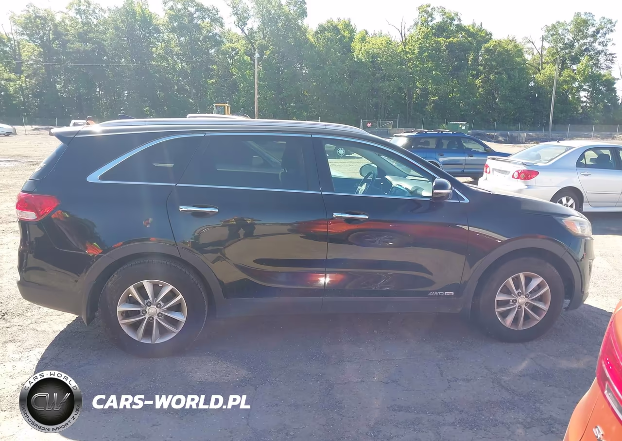 2016 Kia Sorento 3.3L Lx VIN:5XYPGDA54GG090009 - 13