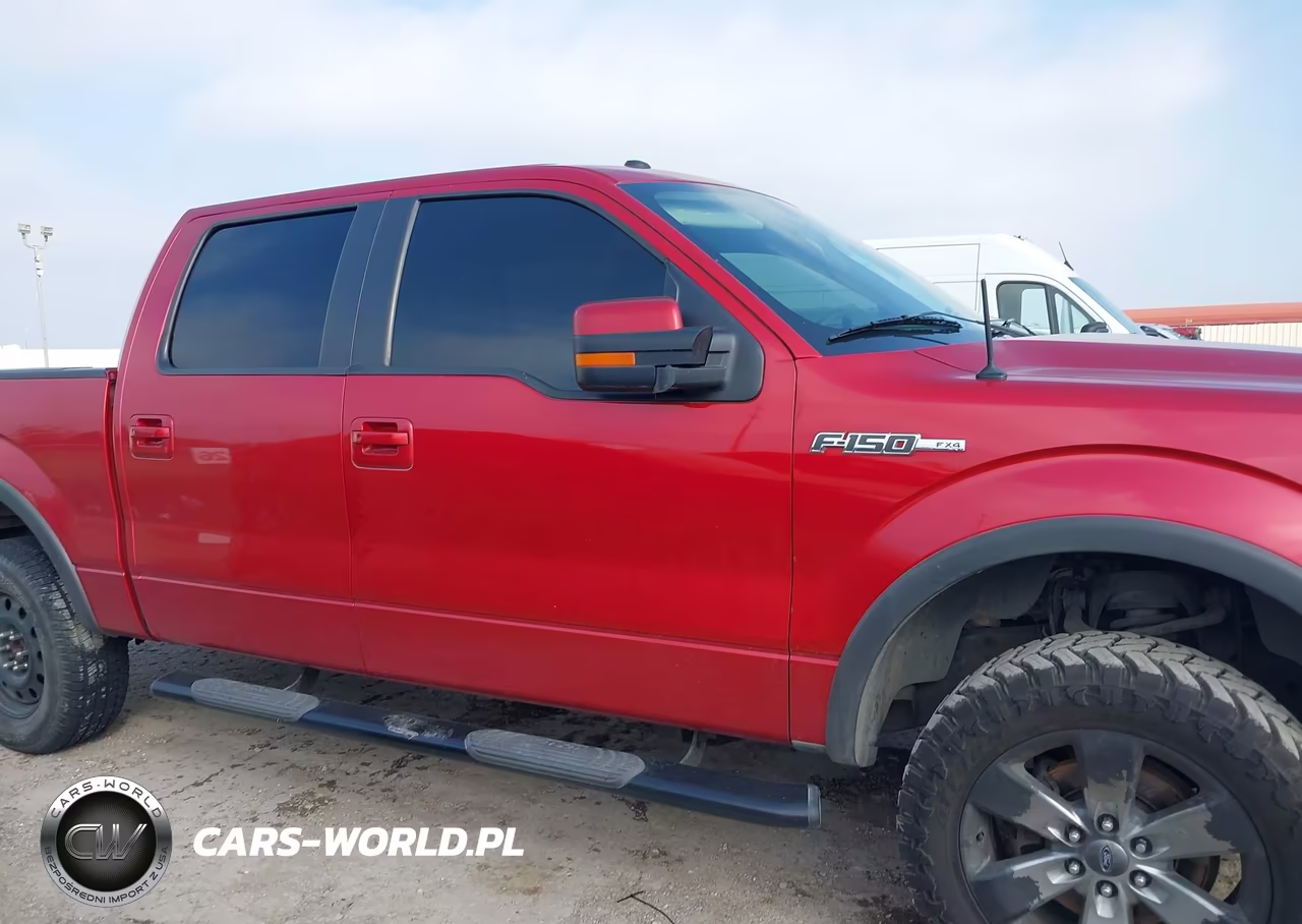 2010 Ford F-150 Fx4-Harley-Davidson-King Ranch-Lariat-Platinum-Xl-Xlt VIN:1FTFW1EVXAFD94849 - 12