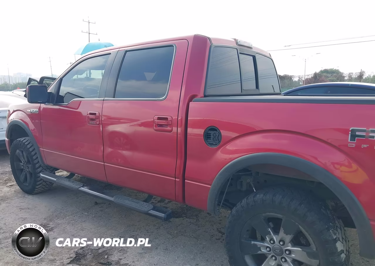 2010 Ford F-150 Fx4-Harley-Davidson-King Ranch-Lariat-Platinum-Xl-Xlt VIN:1FTFW1EVXAFD94849 - 13