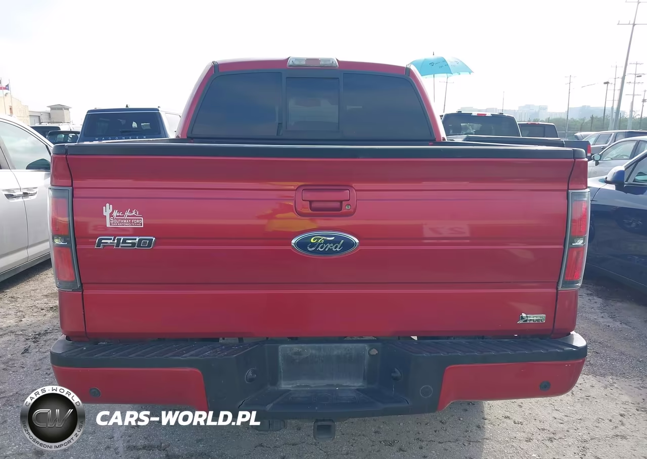 2010 Ford F-150 Fx4-Harley-Davidson-King Ranch-Lariat-Platinum-Xl-Xlt VIN:1FTFW1EVXAFD94849 - 15