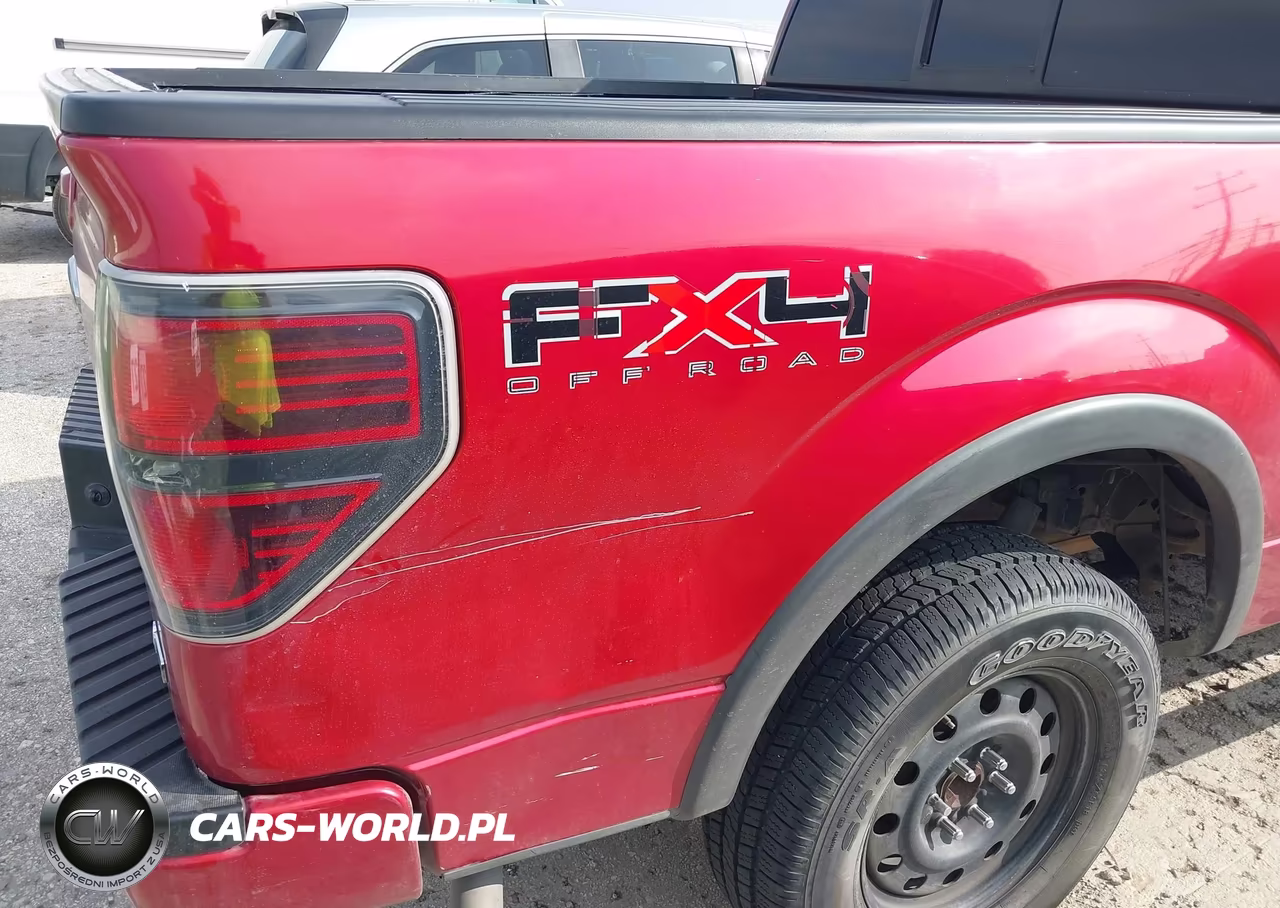 2010 Ford F-150 Fx4-Harley-Davidson-King Ranch-Lariat-Platinum-Xl-Xlt VIN:1FTFW1EVXAFD94849 - 6