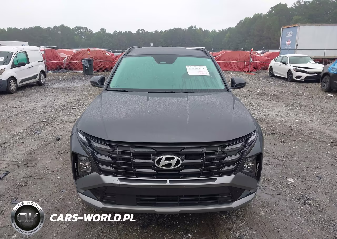 2025 Hyundai Tucson Hybrid Blue VIN:KM8JBDD15SU287013 - 12