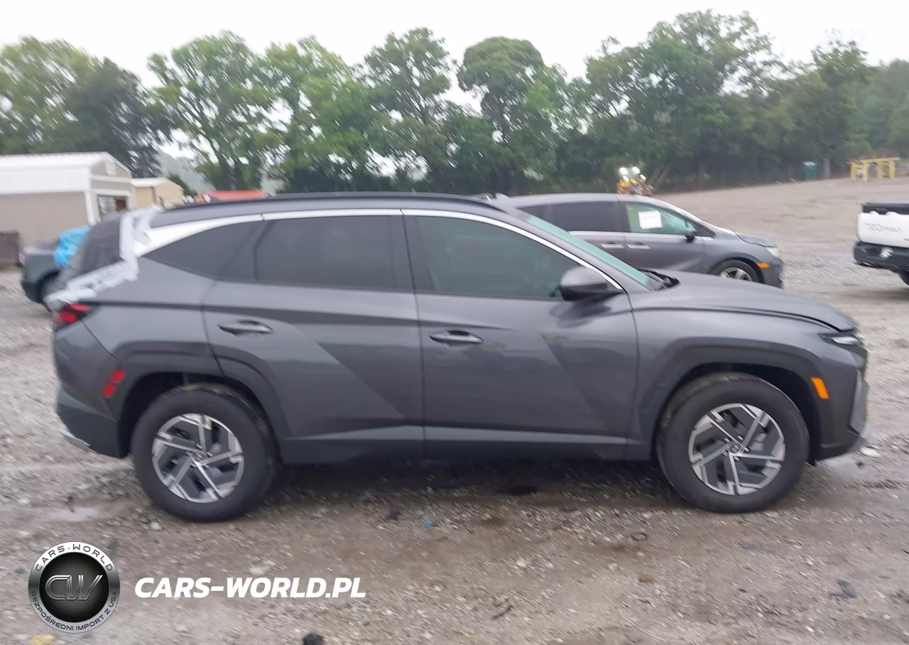 2025 Hyundai Tucson Hybrid Blue VIN:KM8JBDD15SU287013 - 13