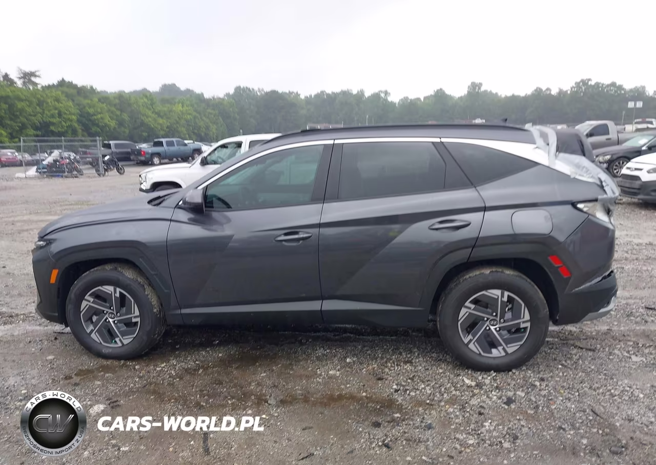2025 Hyundai Tucson Hybrid Blue VIN:KM8JBDD15SU287013 - 14