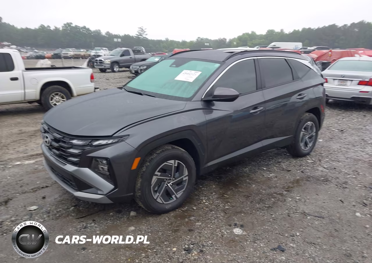 2025 Hyundai Tucson Hybrid Blue VIN:KM8JBDD15SU287013 - 2