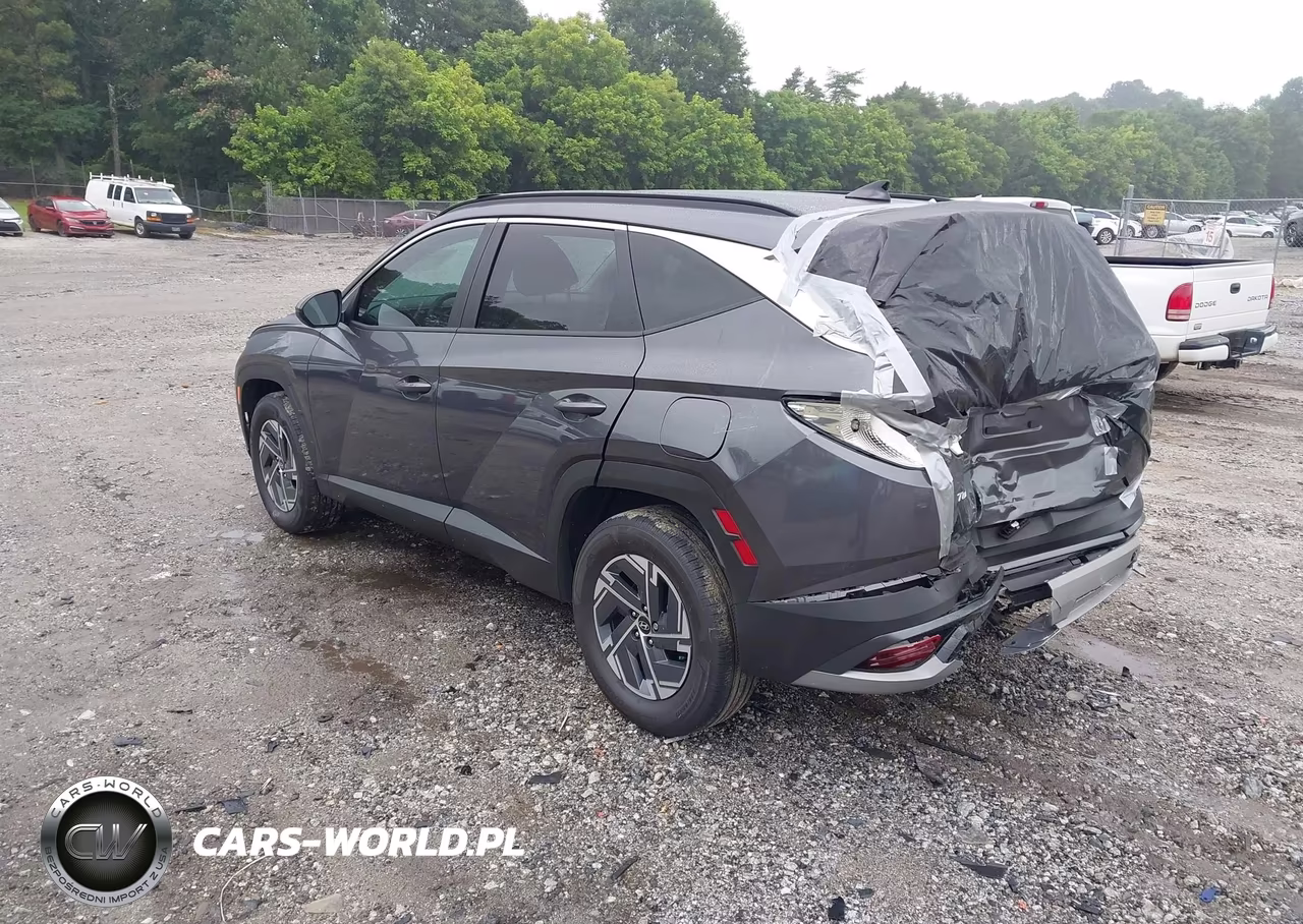 2025 Hyundai Tucson Hybrid Blue VIN:KM8JBDD15SU287013 - 3