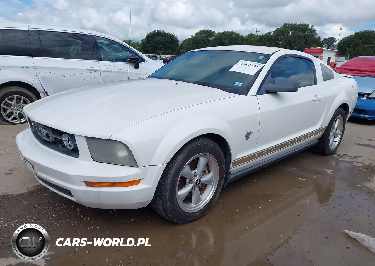 2009 Ford Mustang V6-V6 Premium VIN:1ZVHT80N395131845 - 2