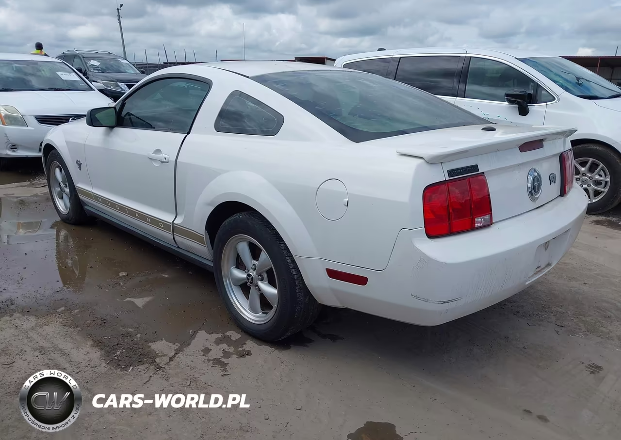 2009 Ford Mustang V6-V6 Premium VIN:1ZVHT80N395131845 - 3